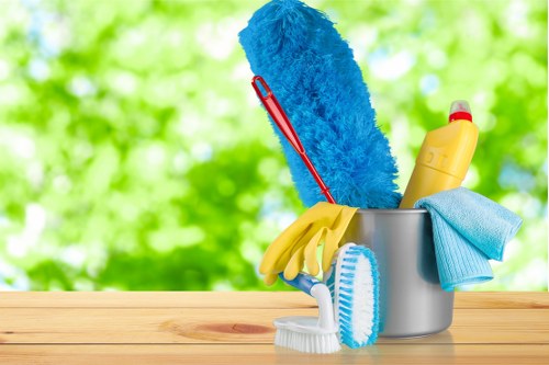 Carpet cleaner preparing safe equipment before starting work