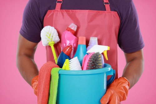Trained carpet cleaner inspecting a room before cleaning begins