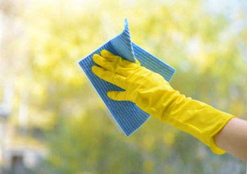 Professional sofa cleaning in a Haggerston living room