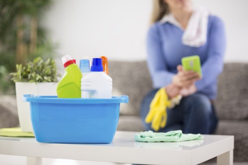 Professional cleaning team inspecting carpet fibres and stain levels