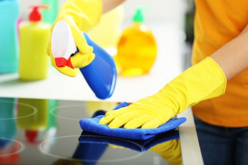 Steam carpet cleaning equipment in a Haggerston home
