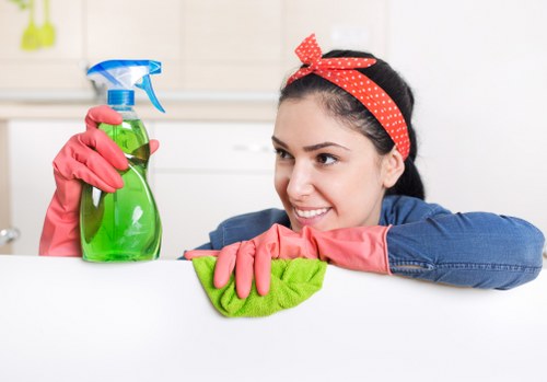 Fresh, clean living room after pet stain odour treatment