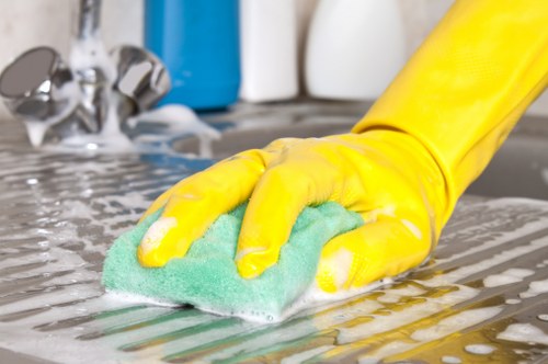 Deep cleaning process for pet urine odour in a Haggerston home